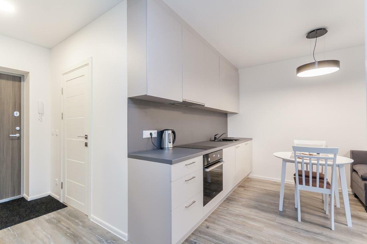 Apartments Vilnius 1 Near Center With A Roof Terrace And Parking エクステリア 写真